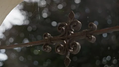 Rustic Ironwork with a Stunning Bokeh Effect Capturing the Beauty of Nature and Stock Footage 313383437