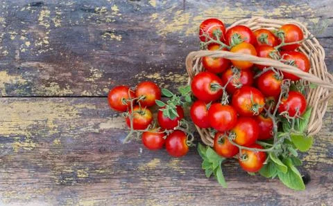 Rustic kitchen background with cherry tomatoes ru Stock Photos