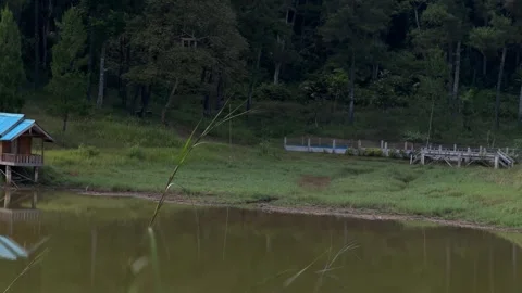 Rustic Lakeside Hut and Gazebo with Forest Background, Slow Pan Shot Video stock 324769555