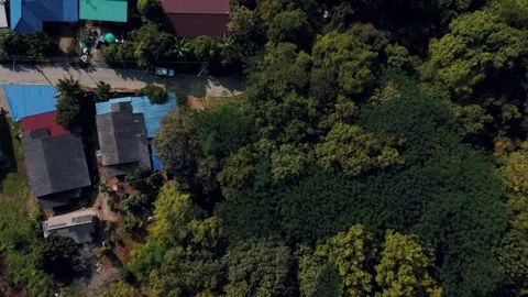 Rustic lakeside shelters and tropical scenery Chiang Mai Thailand aerial view Stock-Footage 331476584