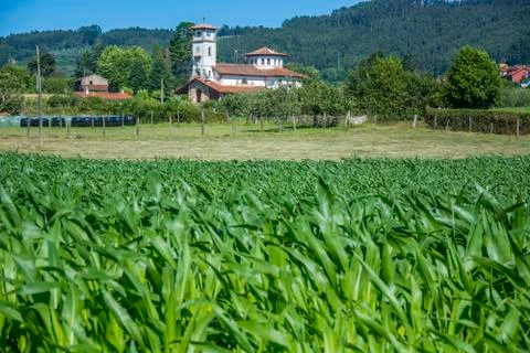 Rustic landscape 1 Stock Photos