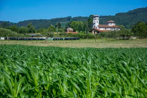 Rustic landscape 2 Stock Photos