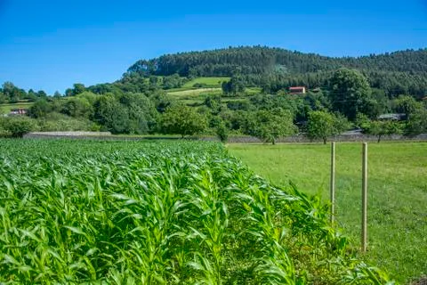 Rustic landscape 4 Stock Photos