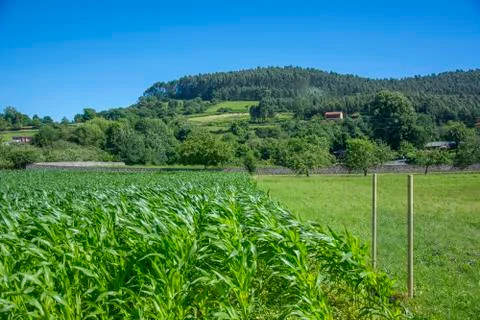 Rustic landscape 5 Stock Photos