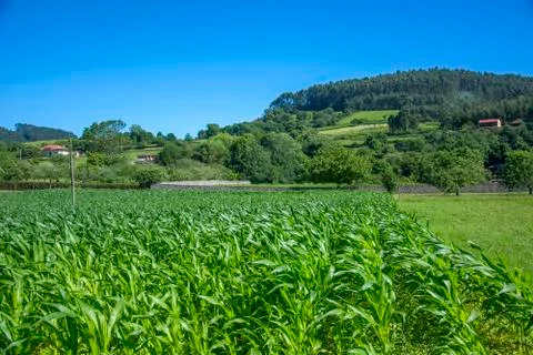 Rustic landscape 6 Stock Photos
