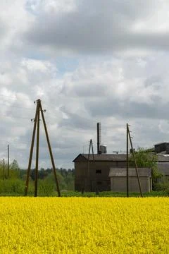 Rustic Landscape with Canola Field Stock Photos