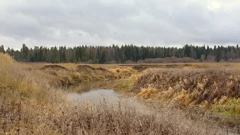 Rustic landscape in fall Stock Footage 290854929