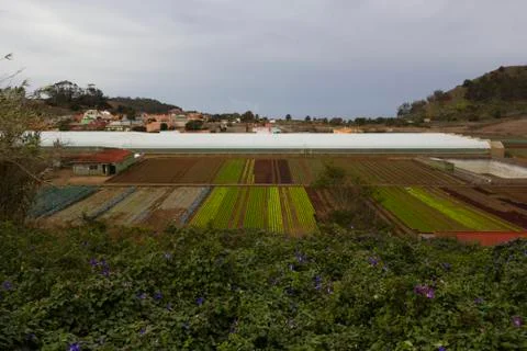 Rustic landscape. Farmers fields. Stock Photos