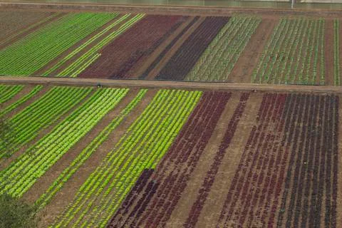 Rustic landscape. Farmers fields. Stock Photos