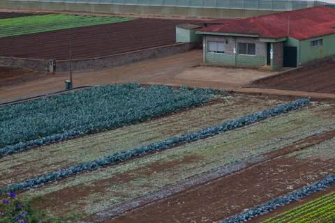 Rustic landscape. Farmers fields. Stock Photos