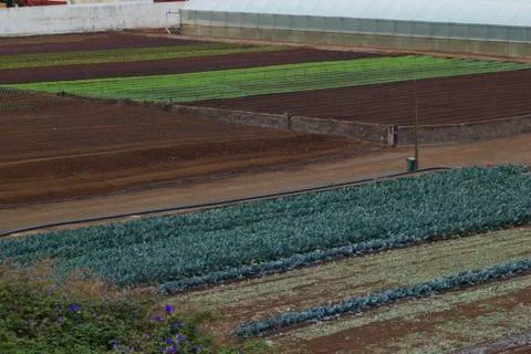 Rustic landscape. Farmers fields. Stock Photos