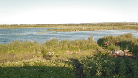 Rustic landscape garden Stock Footage 95274314