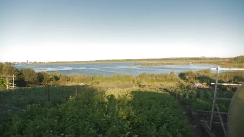 Rustic landscape garden Stock Footage 95274321