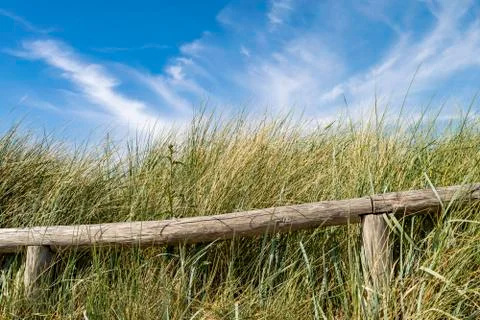 Rustic landscape with grass growing on sand dunes and bright blue sky. Stock Photos