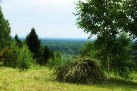 Rustic landscape with haystack summer day. Stock-Fotos