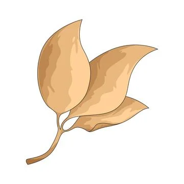 Rustic leaf illustration Stock Illustration