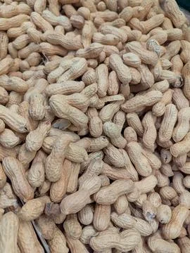 Rustic Legume Presentation. Natural Rustic Collection Of Peanut Shells. Clo.. Stock Photos