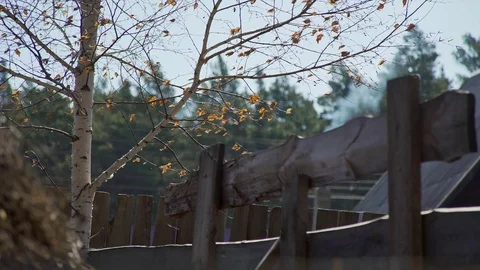 A rustic little house with a pipe, from which smoke comes, a woodpile. Video stock 83243432