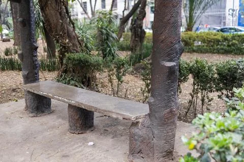 Rustic log bench surrounded by bushes in park from Mexico City Stock Photos