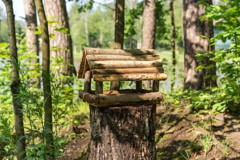 Rustic log bird feeder on forest stump Stock Photos