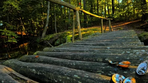Rustic Log Bridge at Lakeside, Dappled Sunlight Shifting Through Forest Canopy Stock-Footage 346766612
