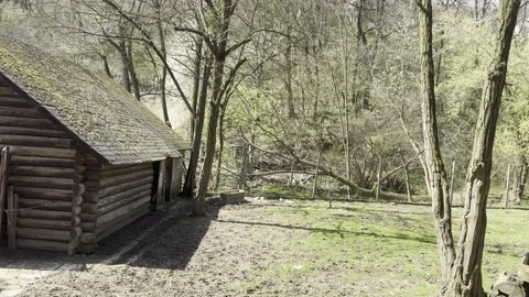 Rustic log cabin barn in an outdoor forest park clearing with trees Stock Footage 340079570
