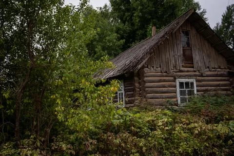 Rustic Log Cabin Surrounded by Dense Foliage Foto stock