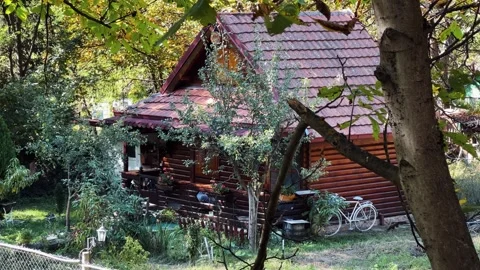 Rustic log cabin surrounded by lush trees in a tranquil forest setting, estab Stock Footage 297438924