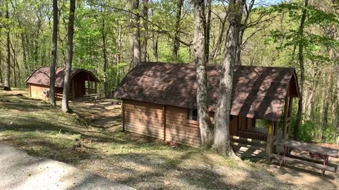 Rustic log cabins sit among the trees Stock Footage 153049995
