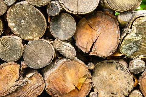Rustic log ends filling the frame Foto stock