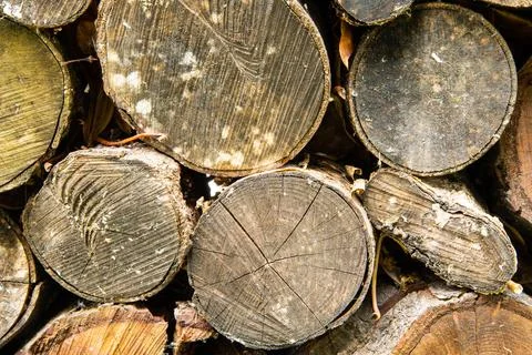 Rustic log ends filling the frame. Stock Photos