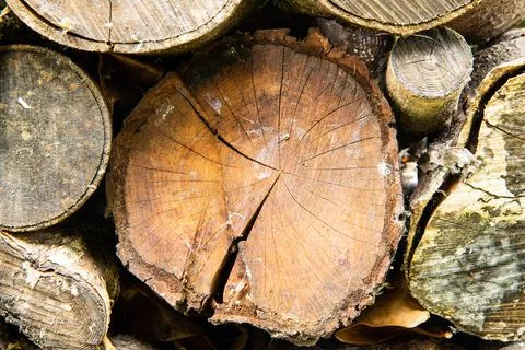 Rustic log ends filling the frame Stock Photos