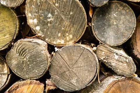 Rustic log ends filling the frame Stock Photos