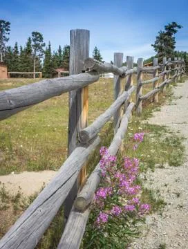 Rustic Log Fence Foto stock