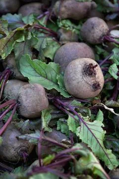 Rustic market stall Stock Photos