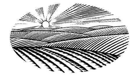 Rustic meadow hand drawn village sunset landscape illustrations with fields Stock Illustration