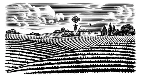 Rustic meadow hand drawn village landscape illustrations with fields, house and Stock Illustration