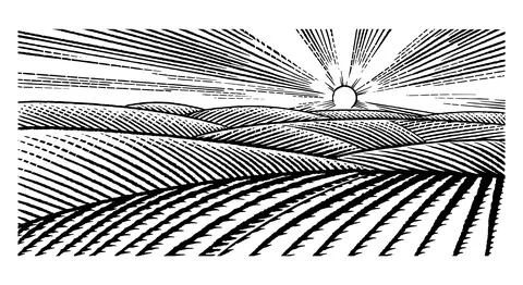 Rustic meadow hand drawn village sunset landscape illustrations with fields Stock Illustration