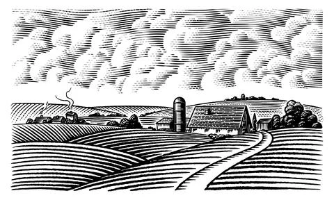 Rustic meadow hand drawn village landscape illustrations with fields, house and Stock Illustration