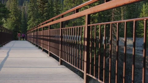 Rustic Metal Bridge Railing Overlooking Forested Wilderness Stock Footage 255626864