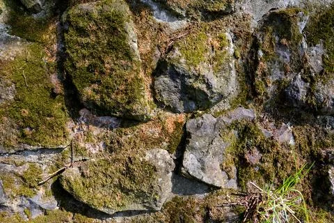 Rustic moss covered stone wall texture, irregular cyclopean masonry Photos