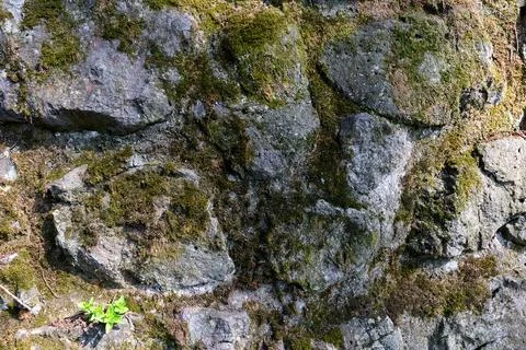 Rustic moss covered stone wall texture, irregular cyclopean masonry Stock-Fotos