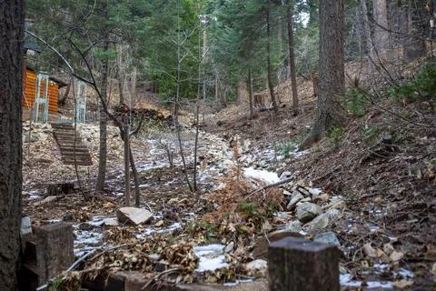Rustic Mountain Scene in the woods of Skyforest, California Stock Photos