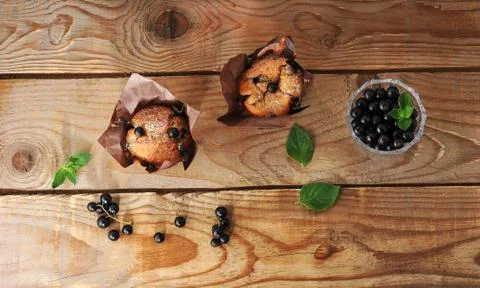 Rustic muffins with black currant Stock Photos