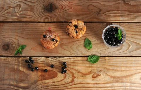 Rustic muffins with black currant Stock Photos