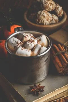 Rustic mug of hot chocolate with marshmallows Stock Photos