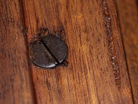Rustic nail embedded in weathered wood, its aged surface telling a story of.. 写真素材