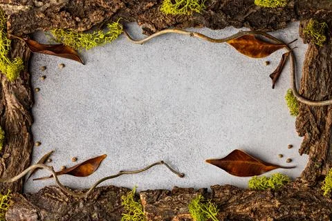 Rustic Nature Frame with Bark and Leaves for Autumn Design Concepts Stock Photos