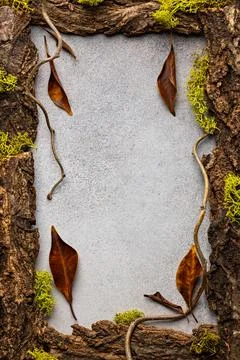 Rustic Nature Frame with Bark, Moss, and Autumn Leaves Perfect for Seasonal.. Stock Photos
