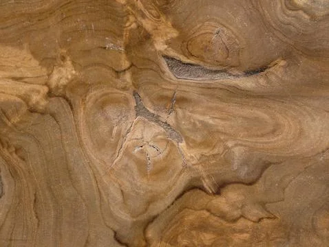 Rustic oak pattern for crafts. Textural oak wood surface emphasizing natura.. Foto stock